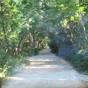 Meet your Posher, Abigail